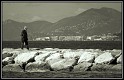 Seaside Stroll